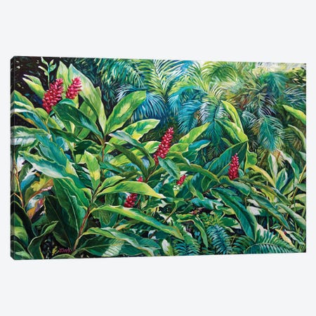 Jungle Canvas Print #ARK94} by John Clark Canvas Art