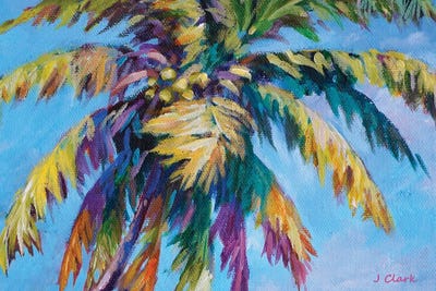 Island Palm by John Clark canvas print