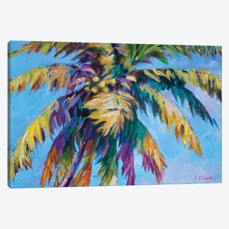 Island Palm Canvas Print #ARK96} by John Clark Canvas Art