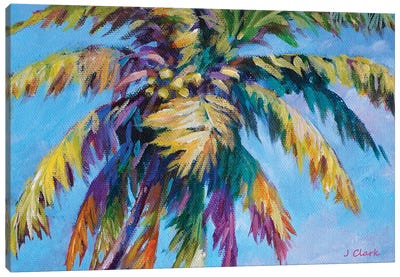 Island Palm Canvas Art Print - John Clark