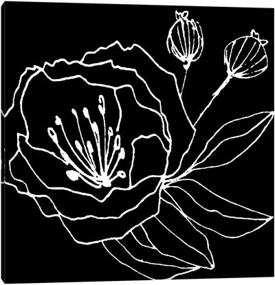 Gera Black Canvas Art Print - Minimalist Flowers