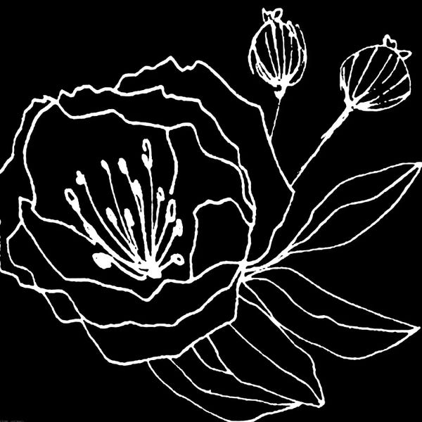 Black & White Minimalist Décor: Gera Black by Art Mirano