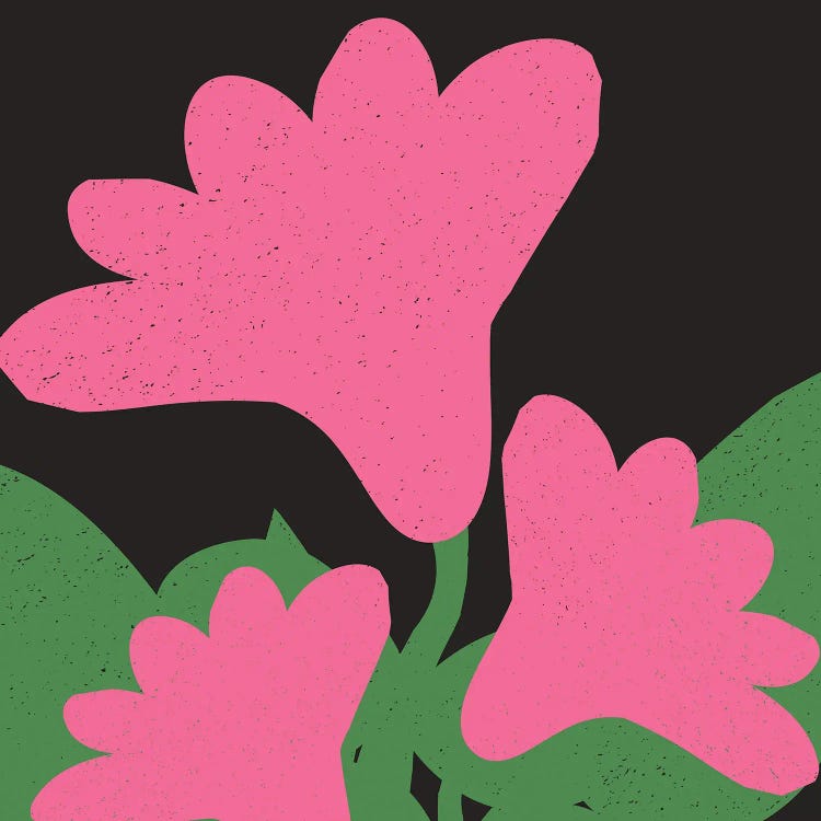 Minimalist Flowers XVI