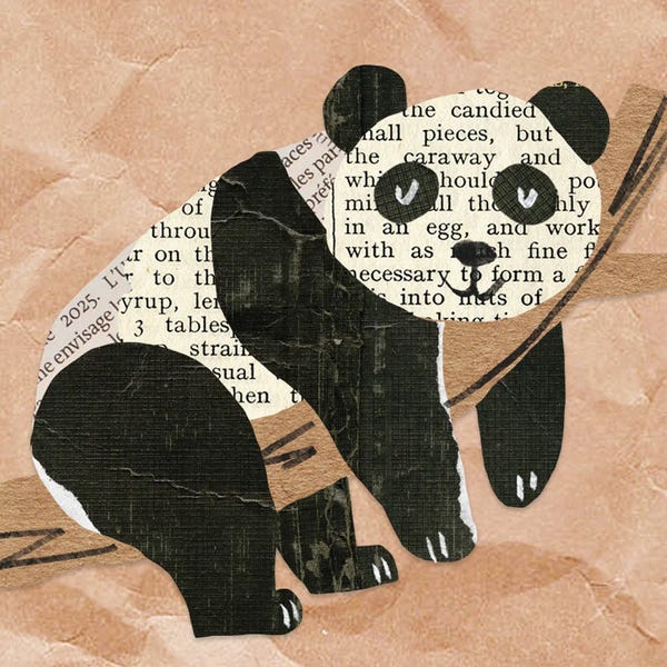 Pandas: For Kids Room XII by Art Mirano