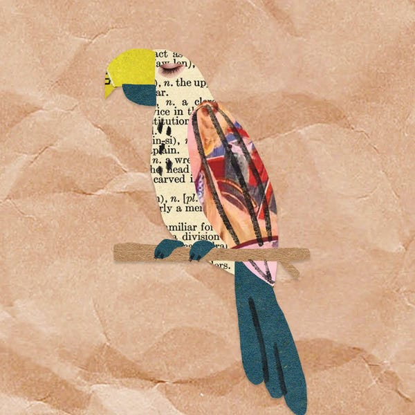 Parrots: For Kids Room XIV by Art Mirano