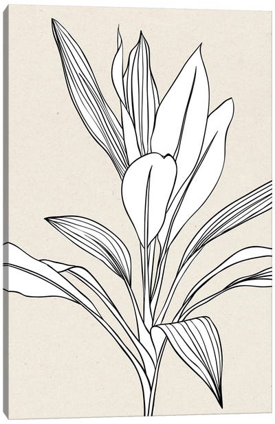 Tapfus H5-LXII Canvas Art Print - Leaf Art