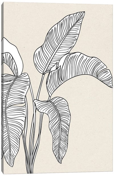 Tapfus H5-LXIII Canvas Art Print - Tropical Leaf Art