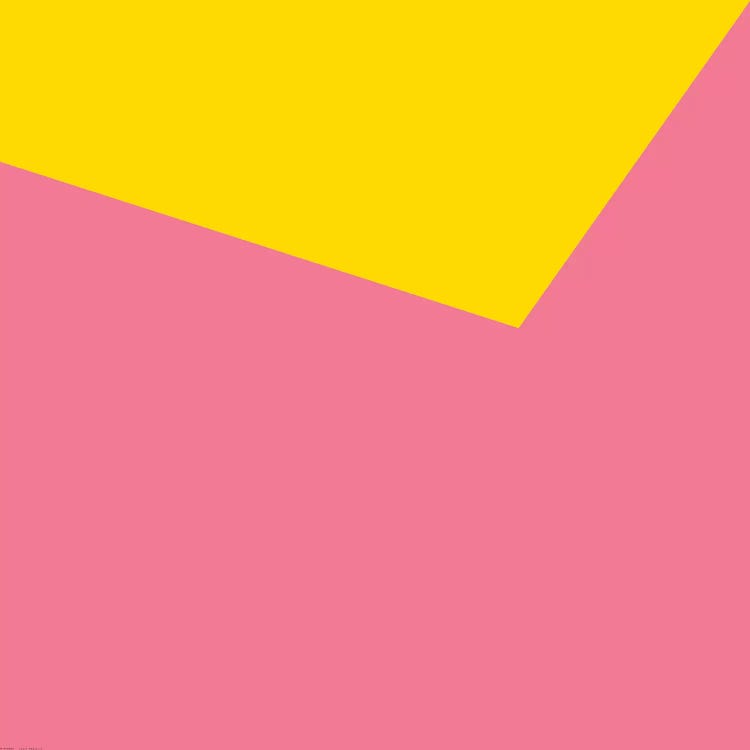 Mirra Pink Yellow by Art Mirano wall art