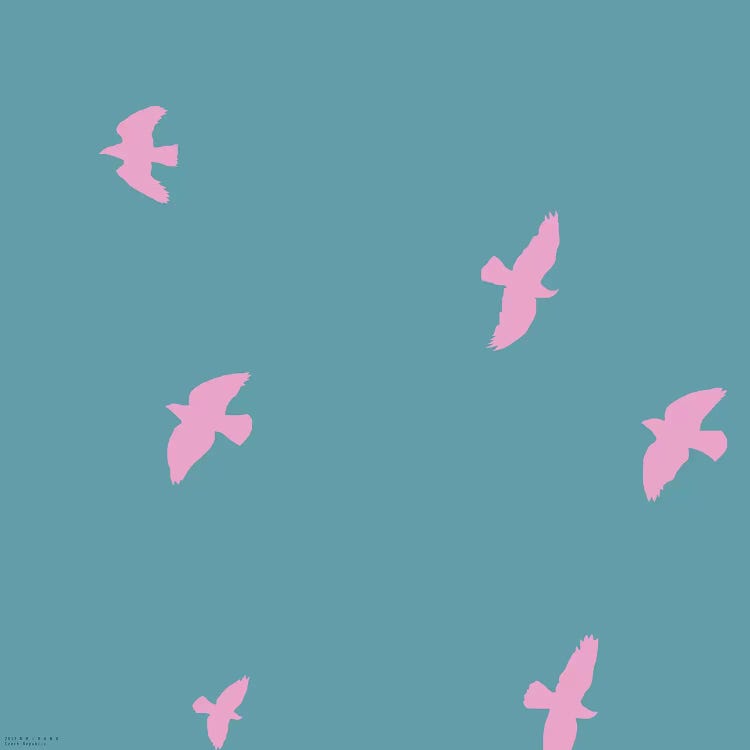 Pink Birds