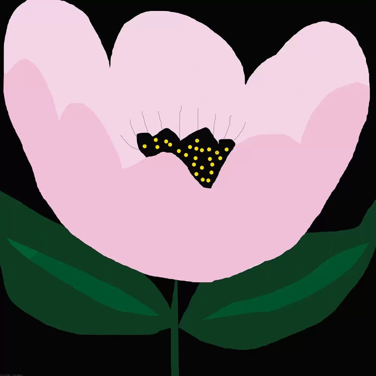 Pink Flower by Art Mirano wall art