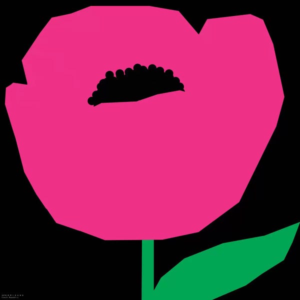 Pop Art Kitchen: Pink Poppy by Art Mirano