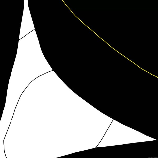 Black & White Patterns: Artemida by Art Mirano