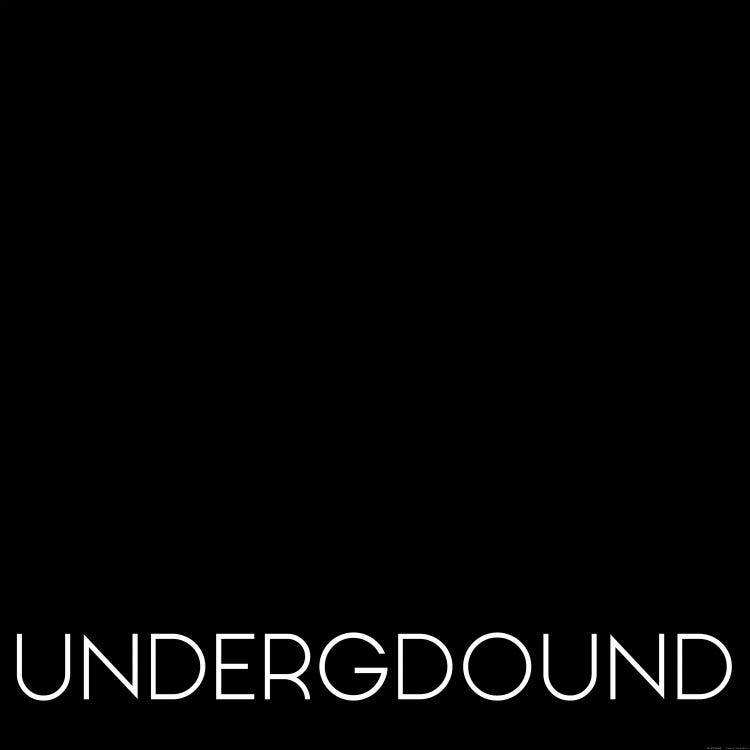 Underground by Art Mirano canvas print