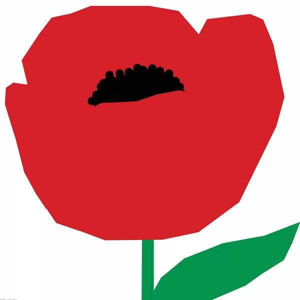 Pop Art Kitchen: Vera by Art Mirano