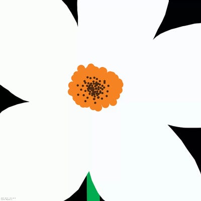 White Flower by Art Mirano canvas print