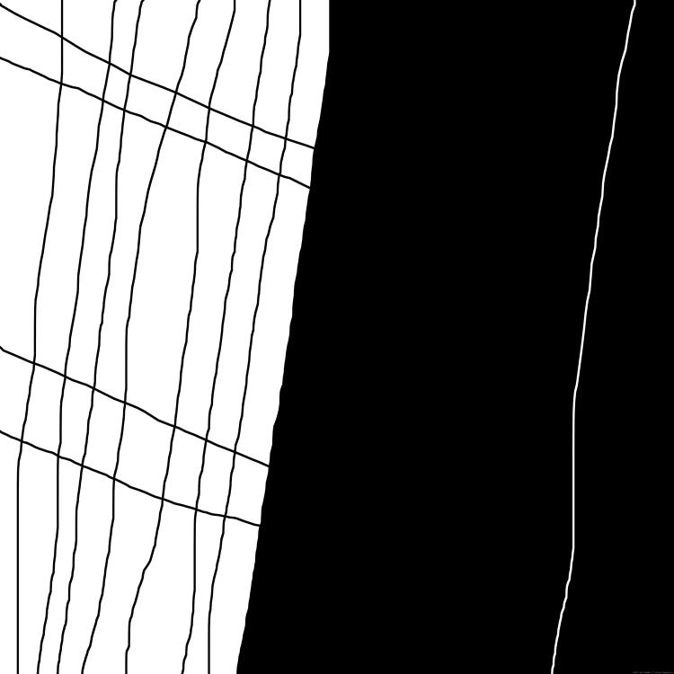 White Line by Art Mirano canvas print