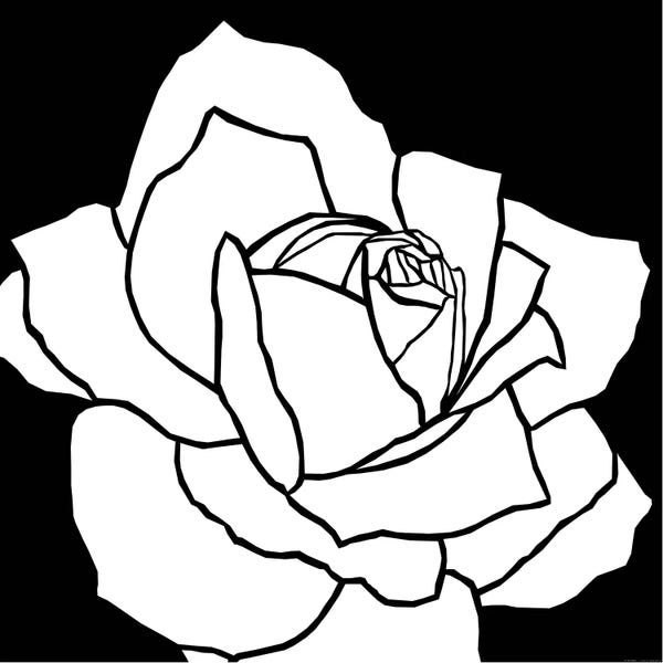 Black & White Minimalist Décor: White Rose by Art Mirano