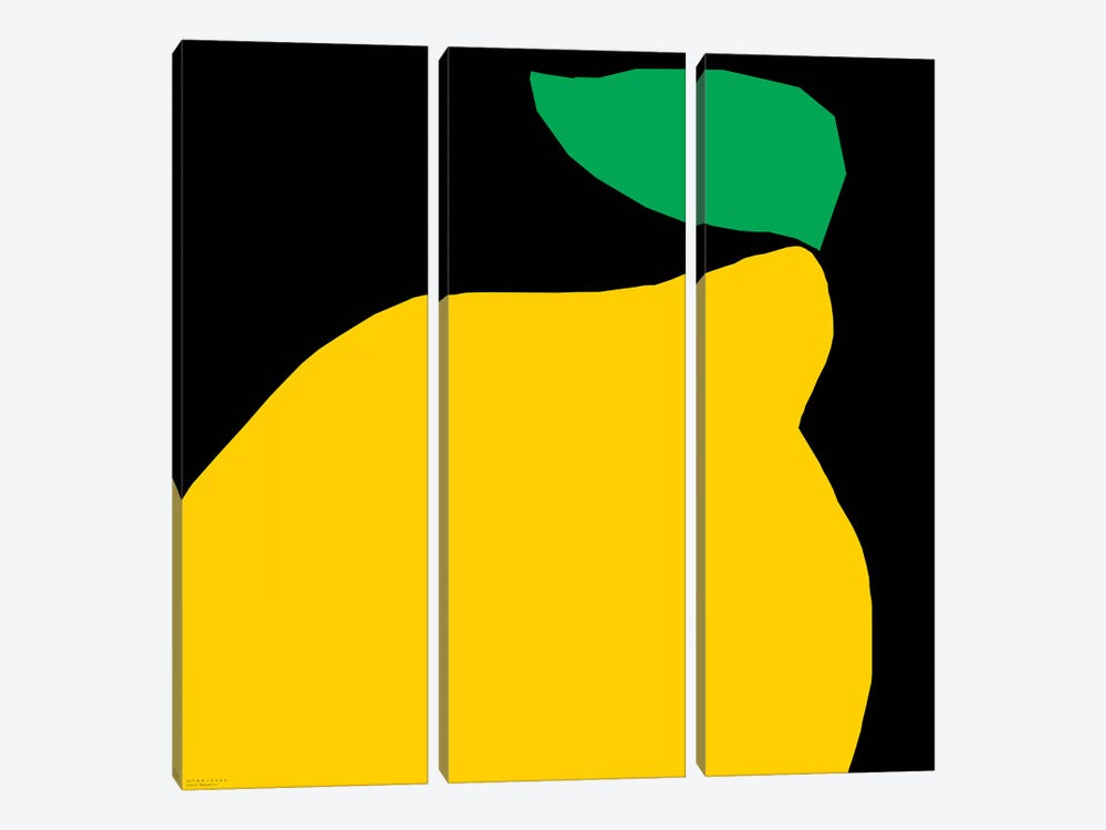 Yellow Fruit by Art Mirano 3-piece Canvas Art