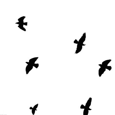 Black Birds by Art Mirano multi panel art