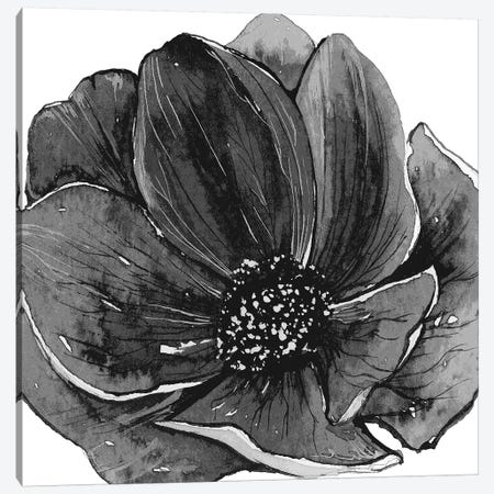 Ellie Black & White Canvas Print #ARM359} by Art Mirano Canvas Print