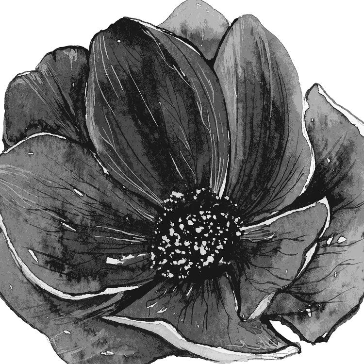 Ellie Black & White by Art Mirano wall art