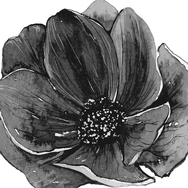 Art Mirano: Ellie Black & White by Art Mirano