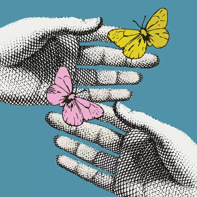 Butterflies by Art Mirano canvas print