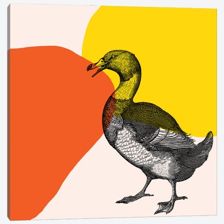 Bird On Yellow Canvas Print #ARM387} by Art Mirano Canvas Print
