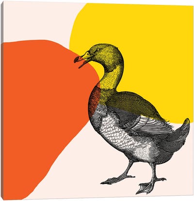Bird On Yellow Canvas Art Print - Goose Art