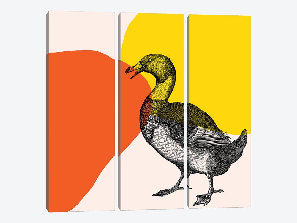 Bird On Yellow by Art Mirano 3-piece Canvas Print