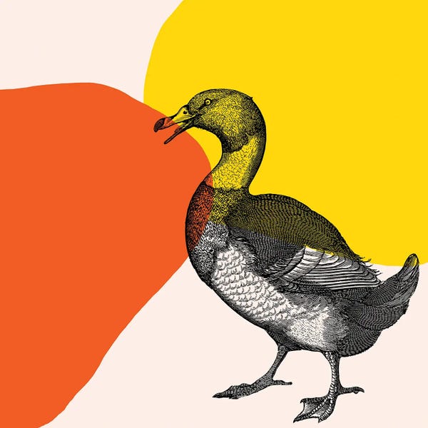 Geese: Bird On Yellow by Art Mirano