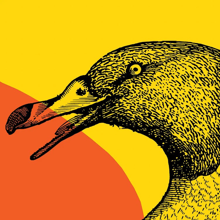 Bird On Yellow Big by Art Mirano wall art