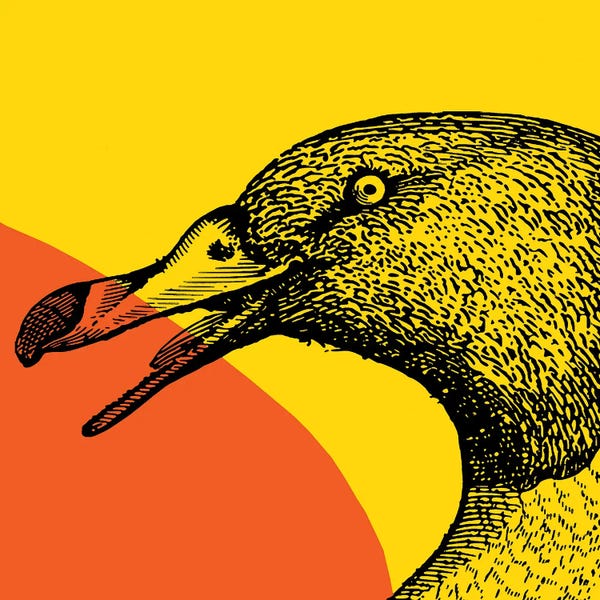 Geese: Bird On Yellow Big by Art Mirano