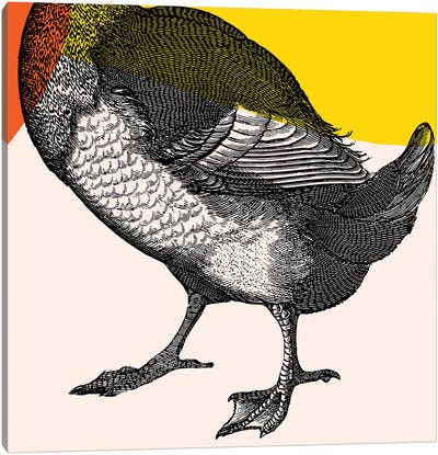 Bird On Yellow Legs Canvas Art Print - Goose Art