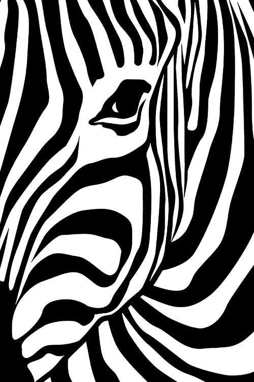 Zebra Canvas Art Print by Art Mirano | iCanvas