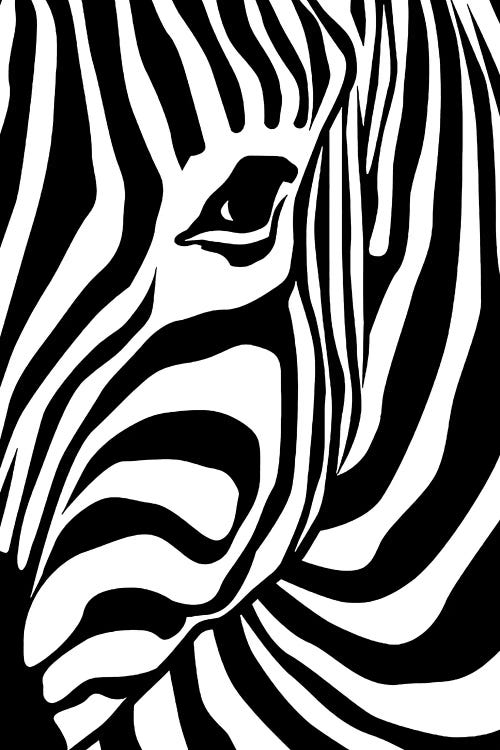 Zebra by Art Mirano wall art