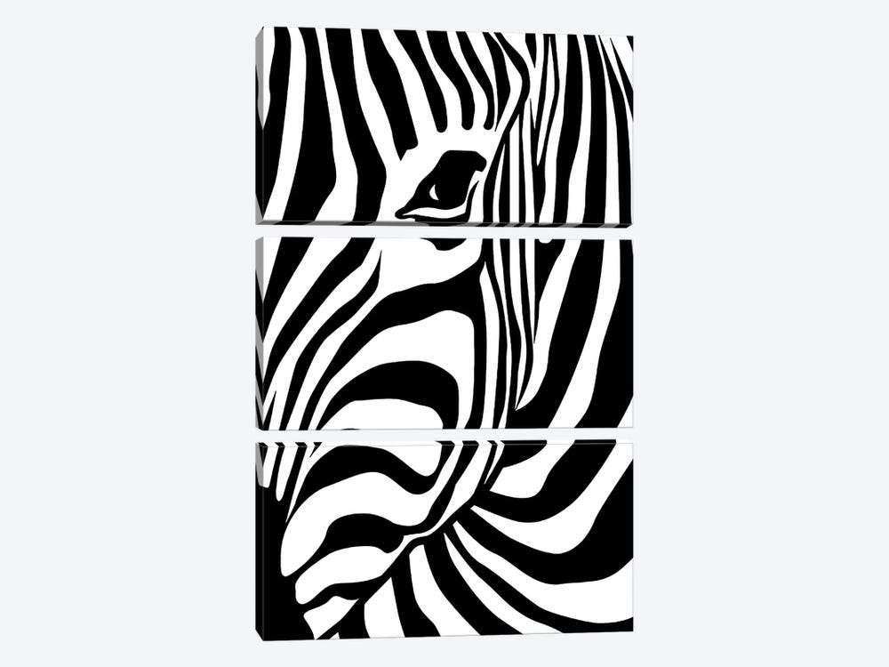 Zebra by Art Mirano 3-piece Canvas Art Print