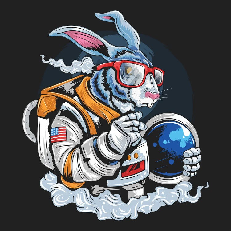 Rabbit astronaut