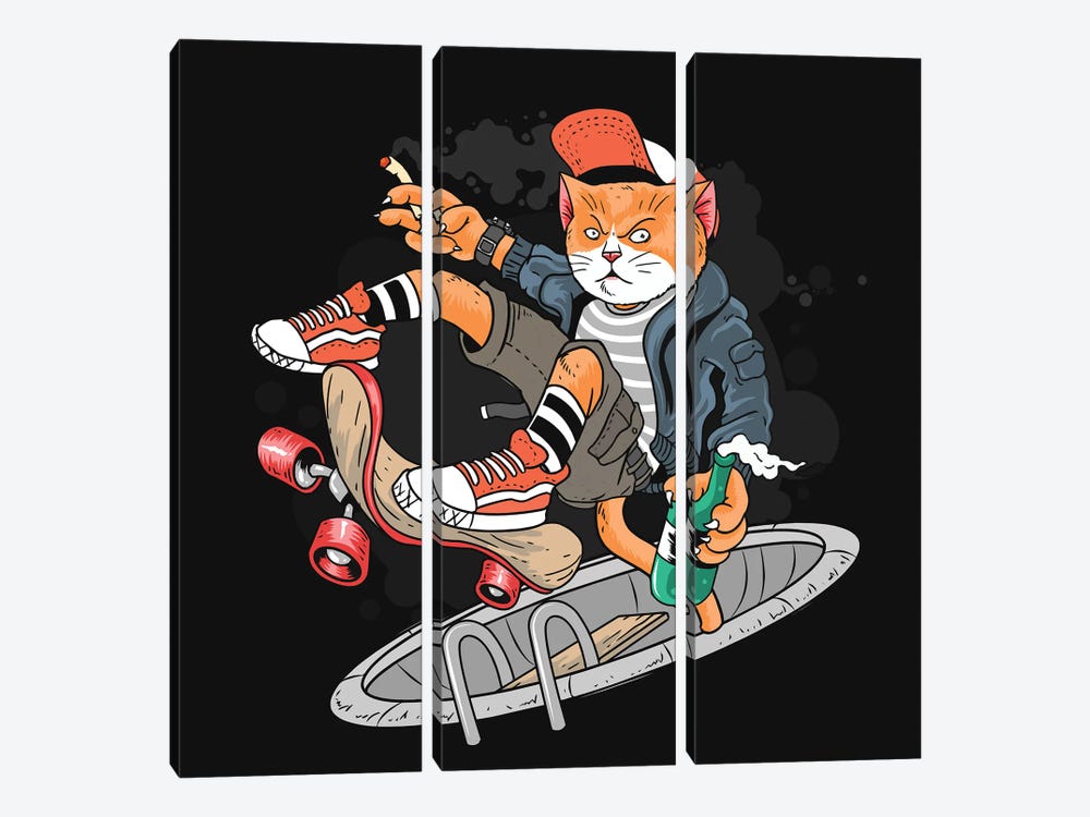 Cat and skateboard by Art Mirano 3-piece Canvas Wall Art
