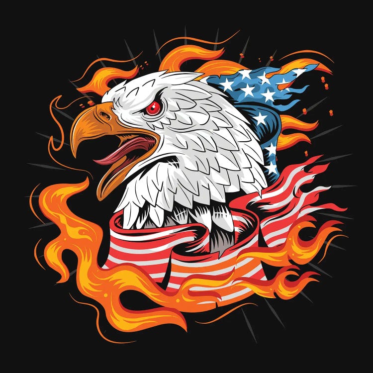 Eagle USA by Art Mirano wall art