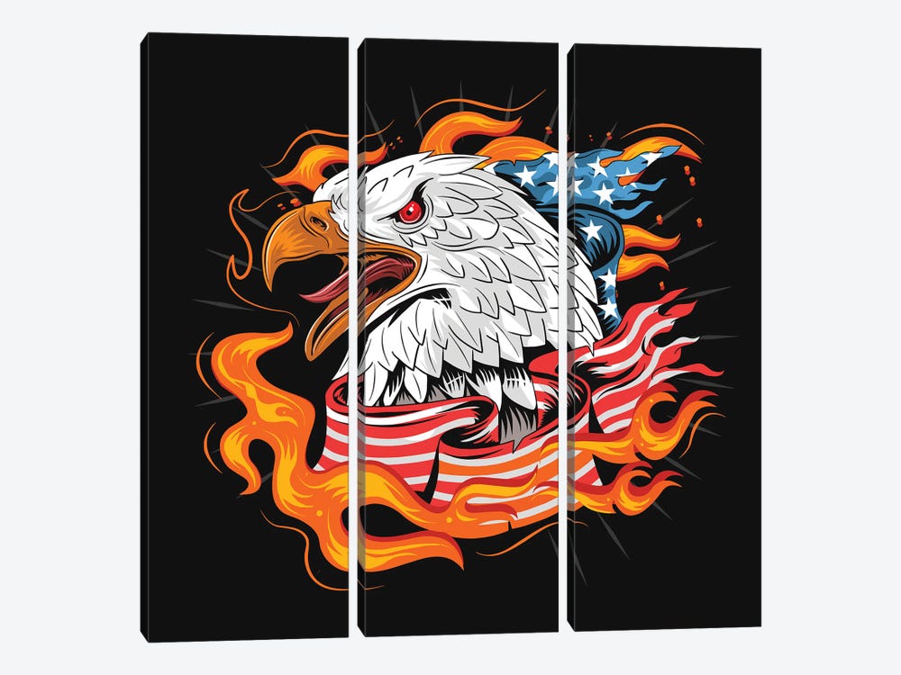 Eagle USA by Art Mirano 3-piece Canvas Artwork