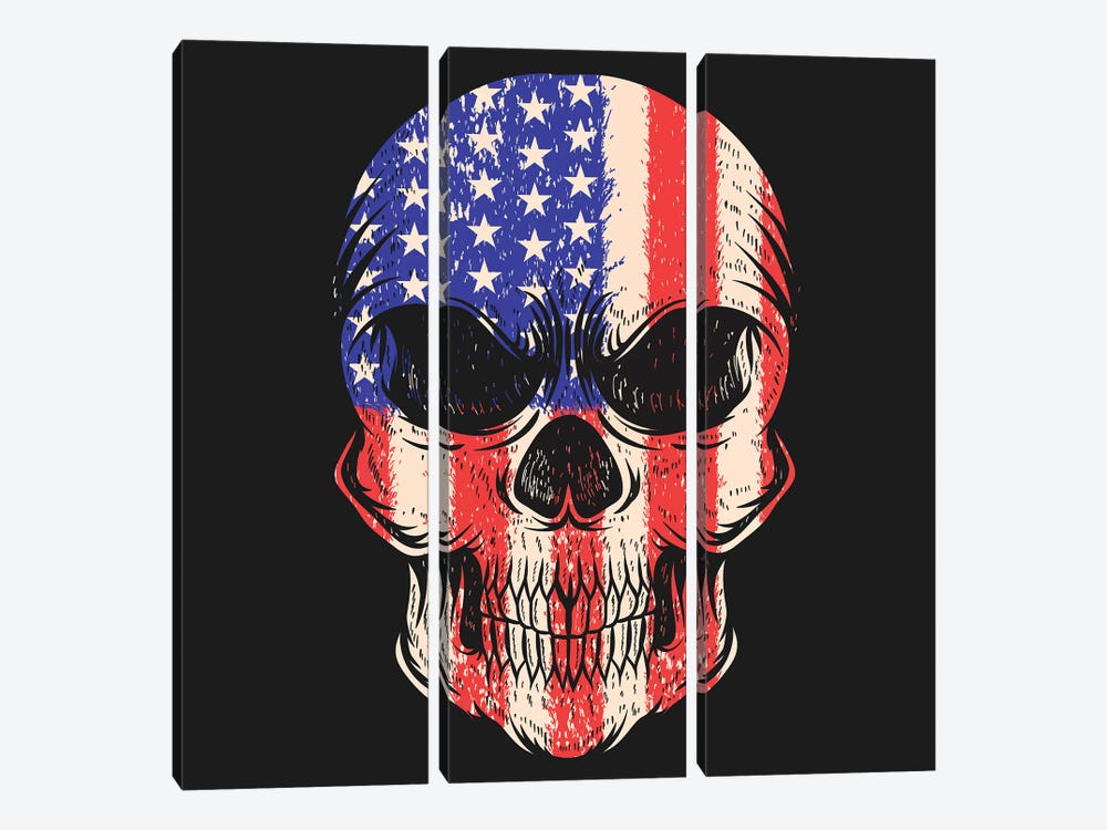 Skull USA by Art Mirano 3-piece Canvas Wall Art