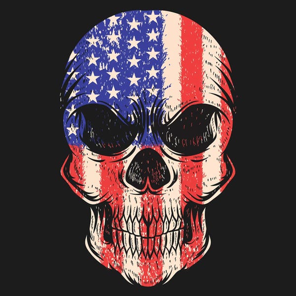 American Décor: Skull USA by Art Mirano