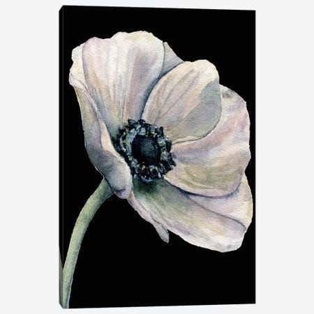 Flower On The Black Canvas Print #ARM606} by Art Mirano Canvas Art