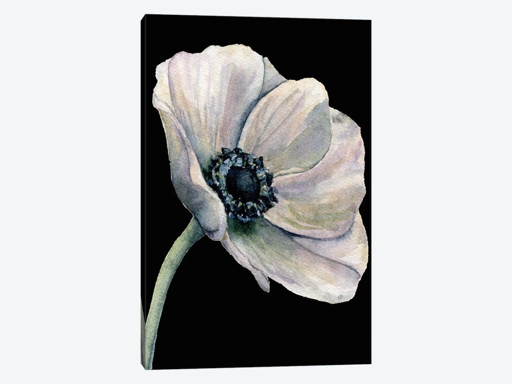 Flower On The Black by Art Mirano 1-piece Canvas Wall Art