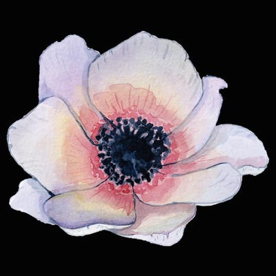 Flower On The Black Pink by Art Mirano canvas print