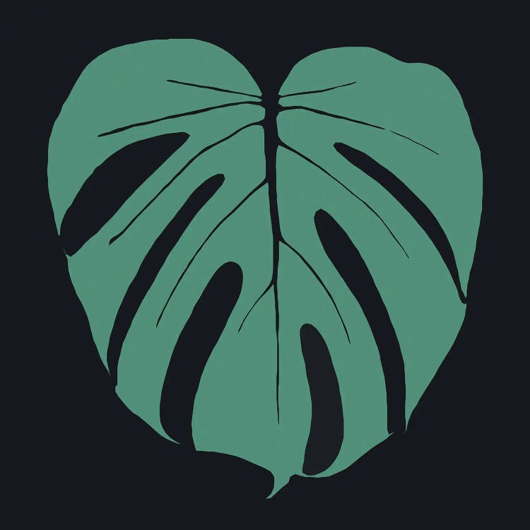 Monstera Plants Illustration