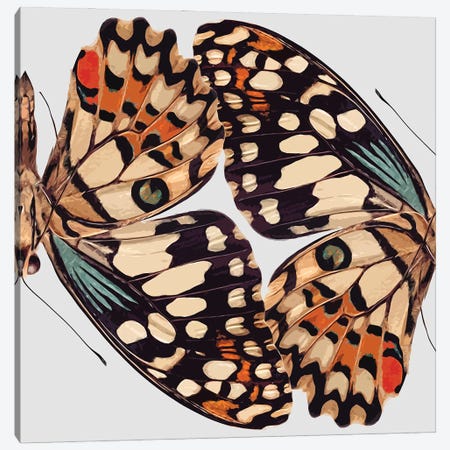 Butterfly Mirror Canvas Print #ARM685} by Art Mirano Canvas Wall Art