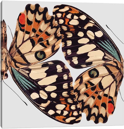 Butterfly Mirror Canvas Art Print - Art Mirano