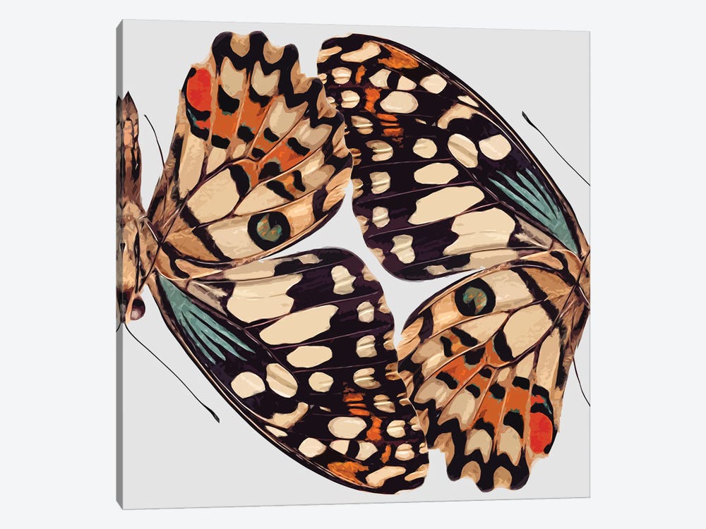 Butterfly Mirror by Art Mirano 1-piece Canvas Art Print
